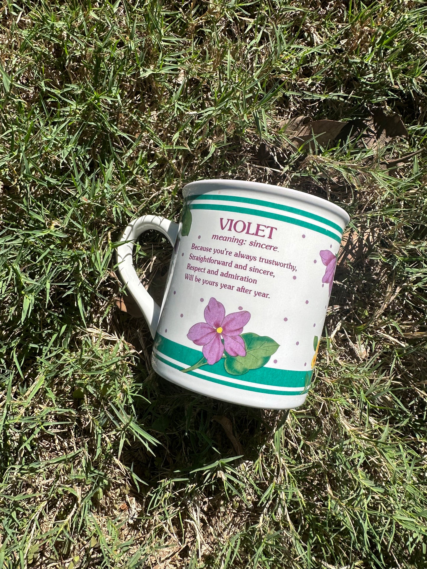 February Flower Meaning Coffee Mug